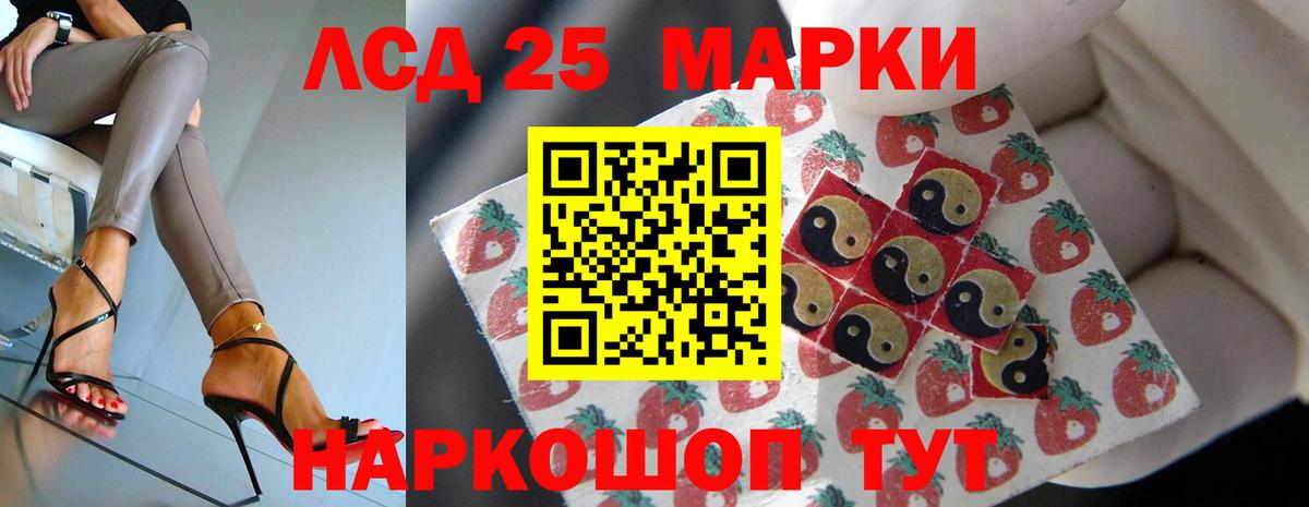 Лсд 25 экстази кислота  Вход с VPN  Ногинск  LSD-25 экстази кислота 