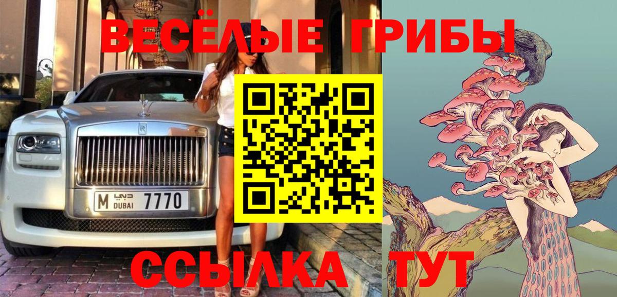 Псилоцибиновые грибы Psilocybe Ногинск