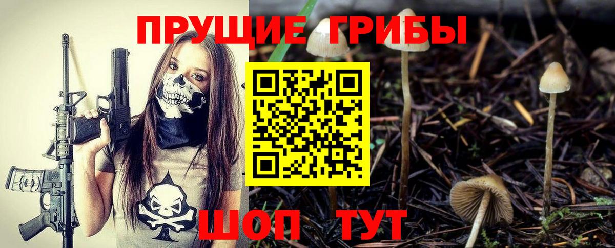 Галлюциногенные грибы мицелий  Вход с VPN  Ногинск 